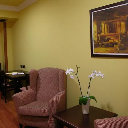 Ii 카스티야스 아빌라 호텔 4*